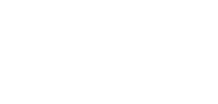Robotics Institute Germany Logo