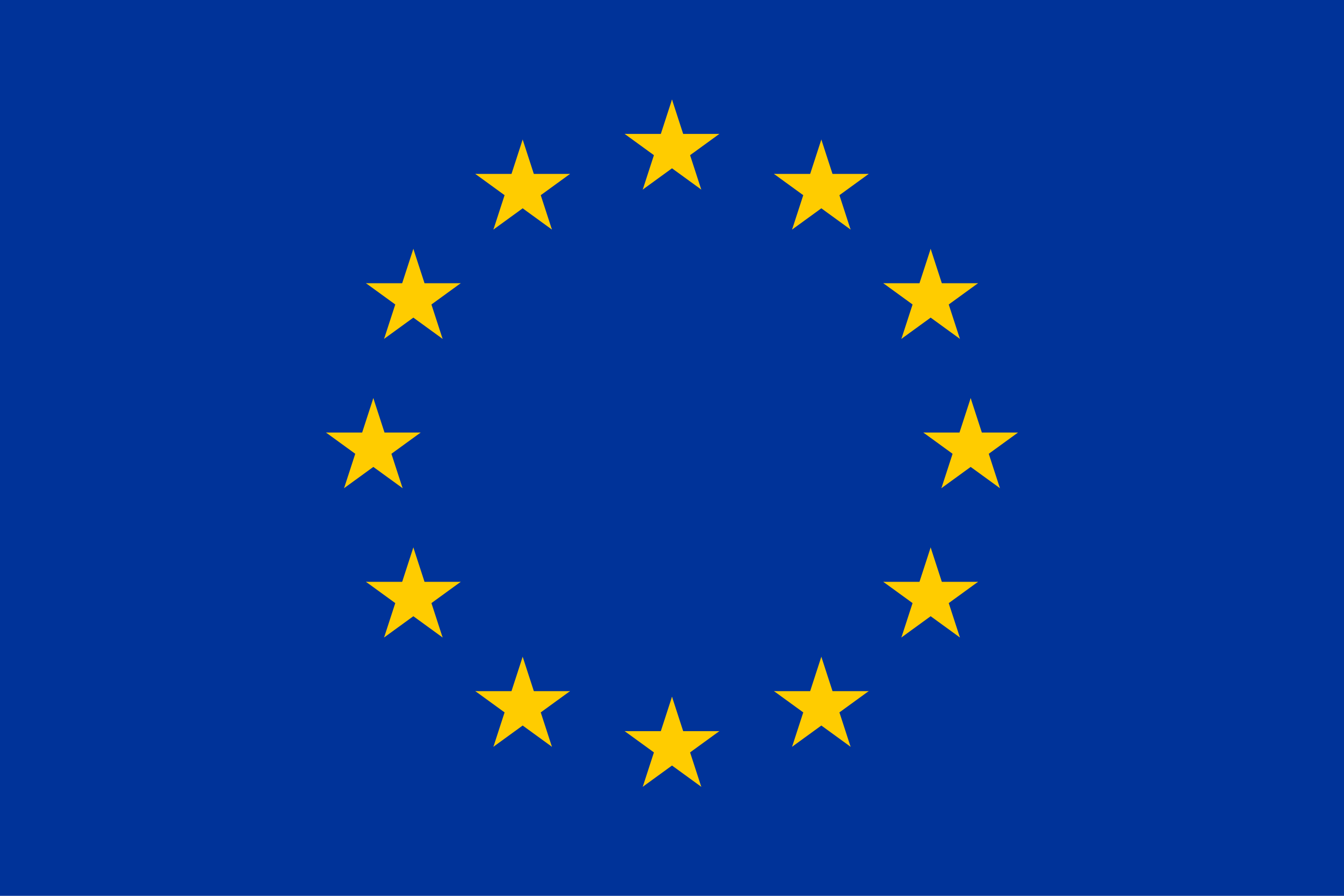 European Union Flag