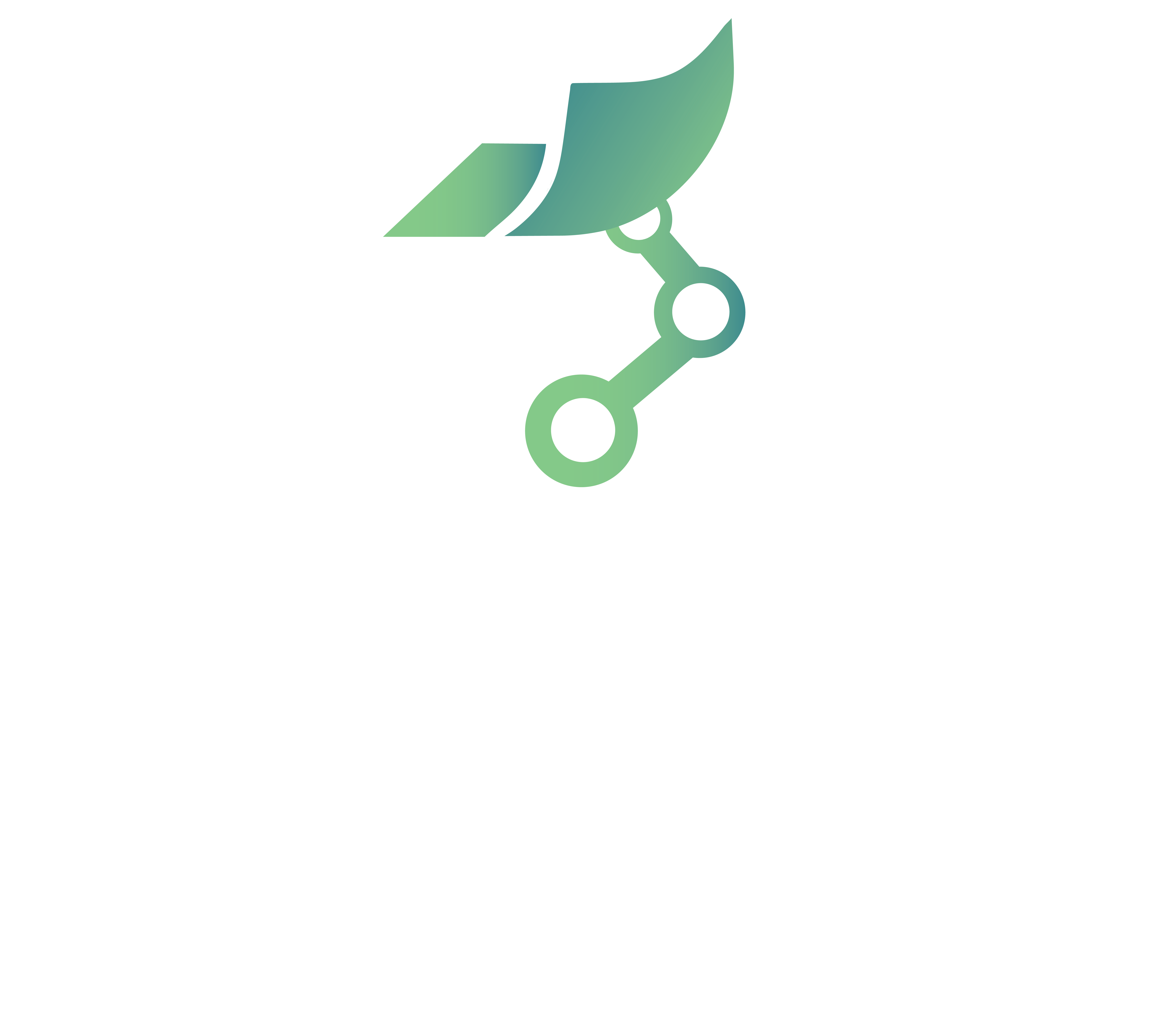 ROMANDIC Logo